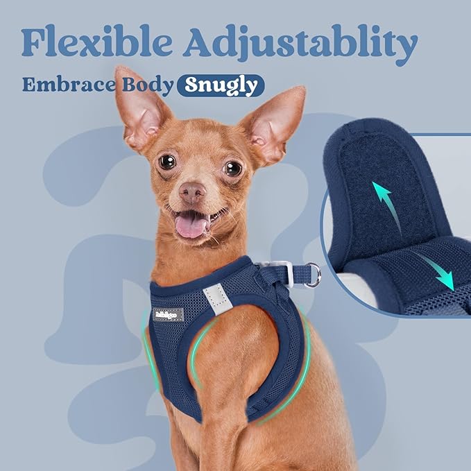 rabbitgoo Small Dog Harness, Step-in Soft Mesh Puppy Vest with Safety Buckle, Breathable Reflective Pet Harness for Small Sized Dogs, Navy Blue XS