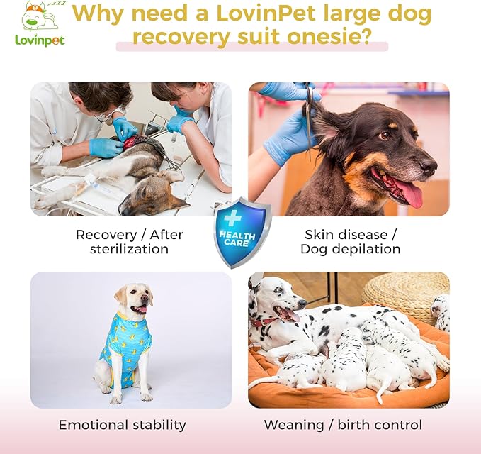 LovinPet Dog Recovery Suit for Large Medium Dogs Pet Pajamas Anti Licking Bodysuit for Abdominal Wound After Surgery for Shedding Skin Disease,Effectively Help,Duck,Blue,M