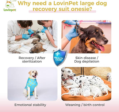 LovinPet Dog Recovery Suit for Large Medium Dogs Pet Pajamas Anti Licking Bodysuit for Abdominal Wound After Surgery for Shedding Skin Disease,Effectively Help,Duck,Blue,M