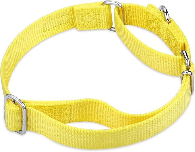Hyhug Martingale Collar for Dogs Small Yellow |Escape - Proof Heavy Duty Nylon Durable No Buckle, Ideal for Training & Daily Walks