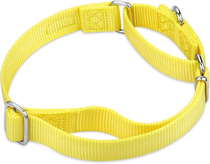 Hyhug Martingale Collar for Dogs Small Yellow |Escape - Proof Heavy Duty Nylon Durable No Buckle, Ideal for Training & Daily Walks