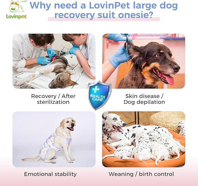 LovinPet Dog Recovery Suit for Large Medium Dogs - Dog's Bodysuit Wound Protective Surgical Recovery Shirt for Abdominal Wounds After Surgery Anti-Licking Dog Onesies,Elephant,Yellow,L
