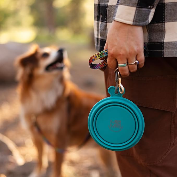 Messy Mutts Silicone Collapsible Bowl | Pet Travel Necessity | Portable Water or Food Dish | Pop Up Watering Bowl | Camping, Hiking, Walking Accessory | Small, 1.75 Cups | Watermelon
