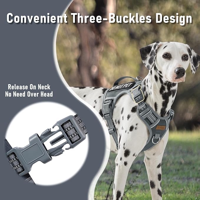 AUNZO No-Pull Dog Harness for Small Dog Breeds, Anti-Escape Easy Walking Reflective Adjustable Lightweight Dog Vest with Breathable Oxford Material, Easy on Easy Off with Neck Buckle, Gray XS