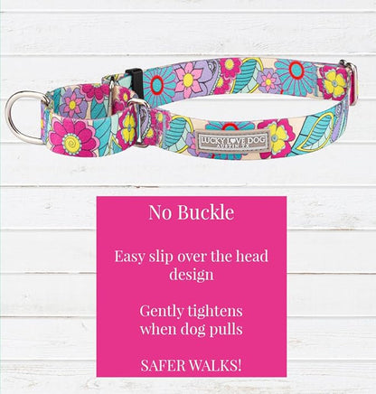 Lucky Love Dog Martingale Collar, Premium No Slip Martingale Collar for Large Dogs, Great for Whippets, Greyhounds, and More (Caroline, Large)