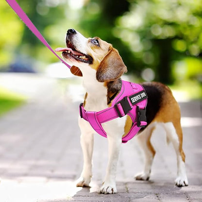 voopet Service Dog Harness, Emotional Support Pet Vest Harness, Reflective Breathable and Adjustable No-Pull ESA Dog Harness for Small Medium Large Dogs (with 4 PCS Removeable Tags)