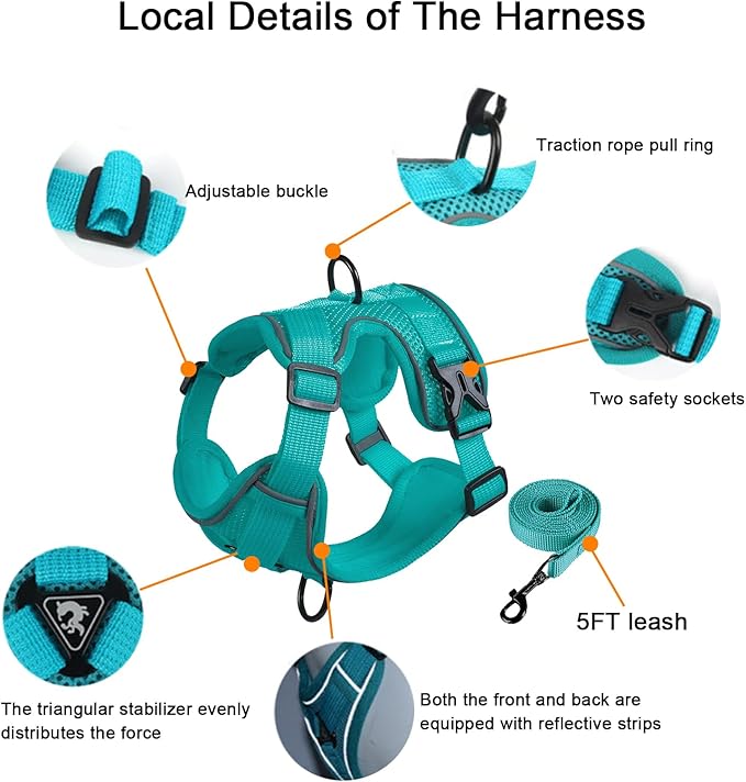 SOLMOONY Small Dog Harness,Soft Mesh Puppy Harness and Leash Set,No Escape Cat Harnesses for Training Walking,Reflective Adjustable Puppy Vest for Small Medium Dogs, Cats (Turquoise, M)