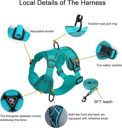 SOLMOONY Small Dog Harness,Soft Mesh Puppy Harness and Leash Set,No Escape Cat Harnesses for Training Walking,Reflective Adjustable Puppy Vest for Small Medium Dogs, Cats (Turquoise, M)