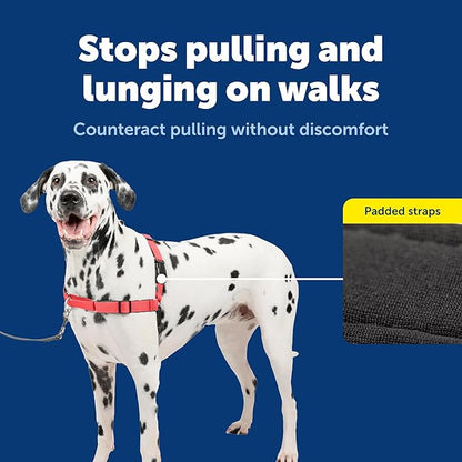 PetSafe Deluxe Easy Walk Harness - Trainer-Trusted Dog Chest Harness with Breathable Martingale Loop Design - Helps Stop Pulling with No Choking & Gagging - Large - Rose