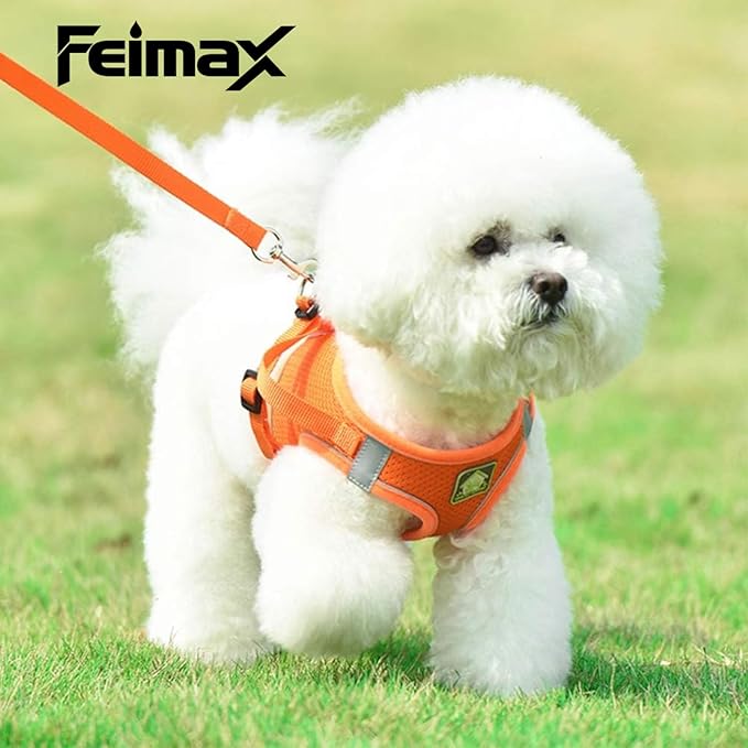 FEimaX Dog Harness and Leash Set, No Pull Breathable Soft Mesh Puppy Vest Harness Reflective Adjustable Pet Harnesses for Small Medium Dogs and Cats - Outdoor Easy Control for Walking
