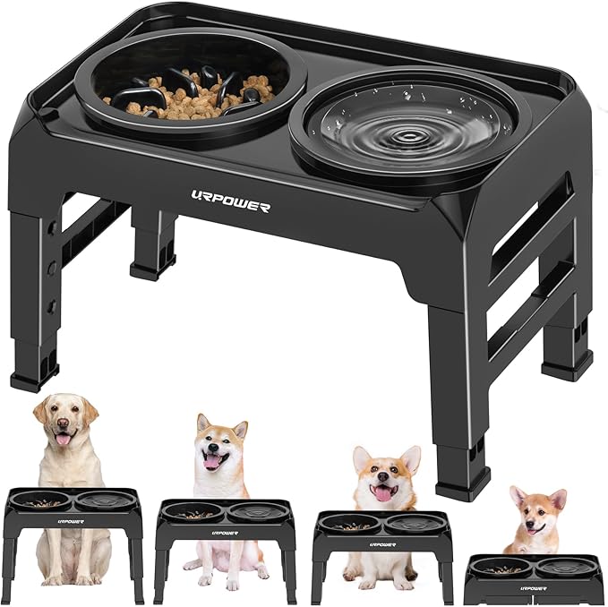 URPOWER Raised Dog Bowls 4 Height Adjustable Elevated Bowl Stand with Stainless Steel Water Bowl Non-Slip Dog Food Bowls Stand for Small Medium Large Dogs and Pets
