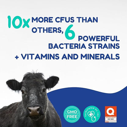 Ruminant Probiotic Paste for Cattle & Goats | Prebiotic + Probiotic | 6 Strains, 8B CFU | Digestive, Rumen & Immune Support - Pack of 2-80G Each
