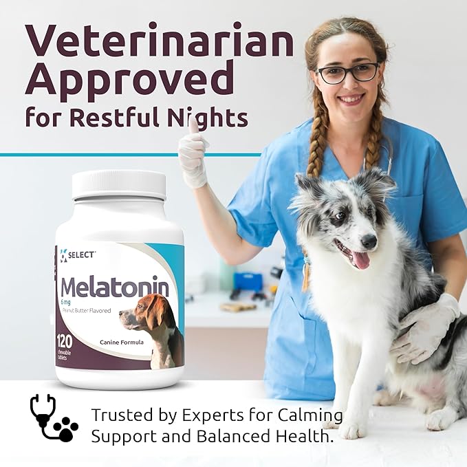 K9 Select Melatonin for Large Dogs - Anxiety Relief Treats for Sleep, Stress, Thunderstorms & Fireworks - Calming Chews for Dogs Anxiety Small & Large Breed, 6 mg, 120 Peanut Butter Tablets