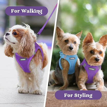 rabbitgoo Small Dog Harness, Step-in Soft Mesh Puppy Vest with Safety Buckle, Breathable Reflective Pet Harness for Small Sized Dogs, Purple XS