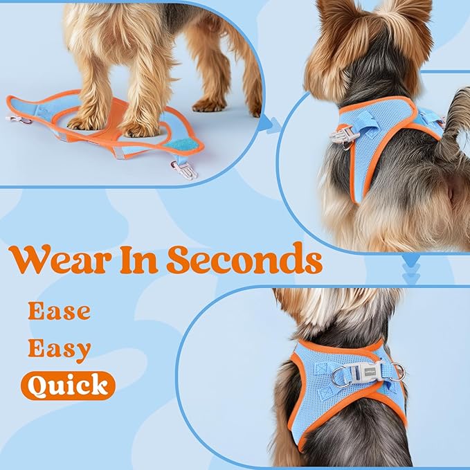 rabbitgoo Small Dog Harness, Step-in Soft Mesh Puppy Vest with Safety Buckle, Breathable Reflective Pet Harness for Small Sized Dogs, Blue & Orange S