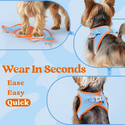 rabbitgoo Small Dog Harness, Step-in Soft Mesh Puppy Vest with Safety Buckle, Breathable Reflective Pet Harness for Extra Small Dogs, Blue & Orange XXS