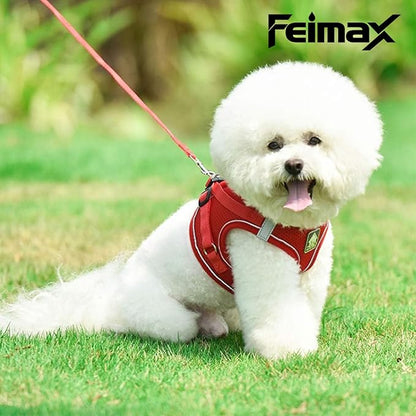 FEimaX Dog Harness and Leash Set, No Pull Breathable Soft Mesh Puppy Vest Harness Reflective Adjustable Pet Harnesses for Small Medium Dogs and Cats - Outdoor Easy Control for Walking