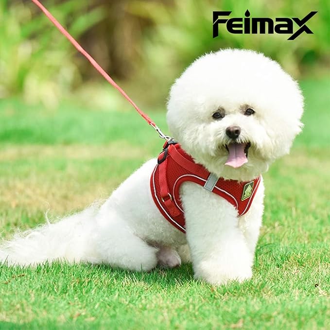 FEimaX Dog Harness and Leash Set, No Pull Breathable Soft Mesh Puppy Vest Harness Reflective Adjustable Pet Harnesses for Small Medium Dogs and Cats - Outdoor Easy Control for Walking