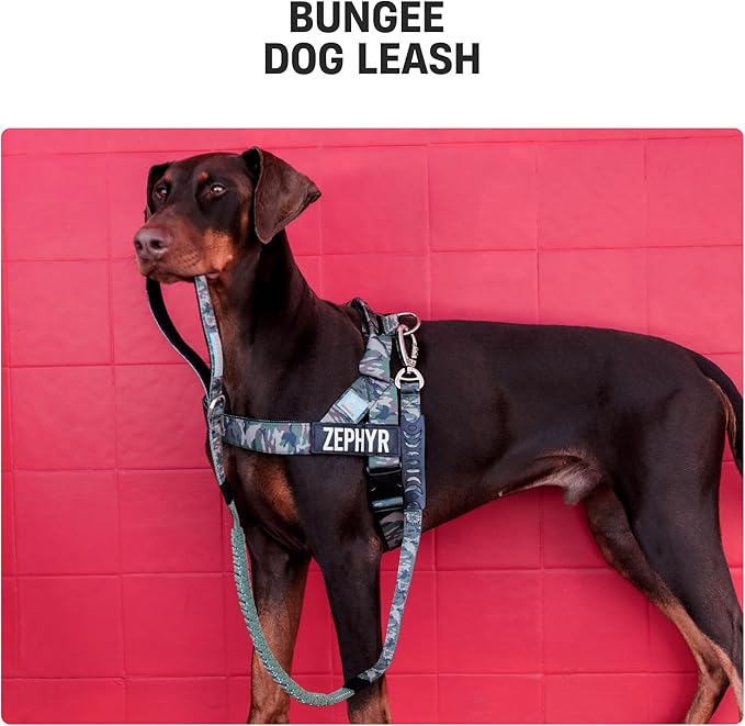 Dog Friendly Co. Bungee Dog Leash | Strain Free & Shock Resistant for Control | Neoprene Padded Handle, Heavy-Duty Carabiner Clip, and D-Ring | Green Camo, Size Regular