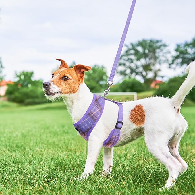 SCENEREAL No Pull Dog Harness with Leash Set for Small Dogs - Breathable Soft Mesh Vest, Plaid Design for Daily Walking Training, Fits Chihuahua Bulldog, Purple Size S