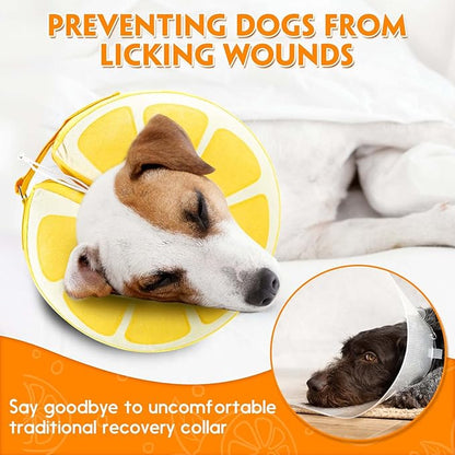 Inflatable Dog Cone, Protective Inflatable Collar for Jumbo Dogs, Soft Adjustable Pet Cone Alternative After Surgery for Wound Healing and Prevent from Biting or Scratching,XL(18"-22.5")