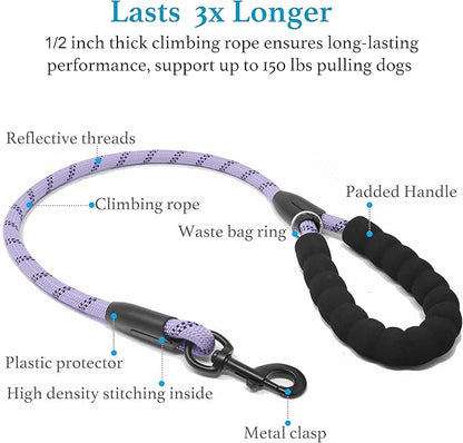 iYoShop Dual Dog Leash - 360° Swivel, No Tangle Walking Leash with Shock Absorbing Bungee for Two Dogs (Large, 25-150 lbs, Lavender)