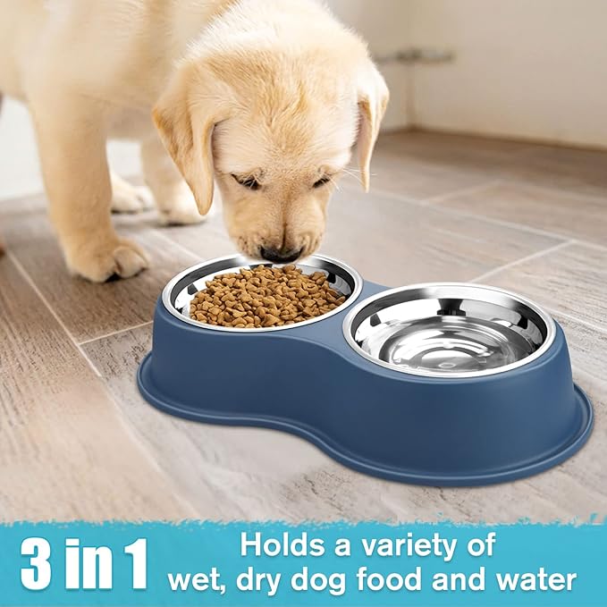 Epetslove Dog Bowls Double Dog Water and Food Bowls Stainless Steel Bowls with Non-Slip Resin Station, Pet Feeder Bowls for Puppy Medium Dogs Cats