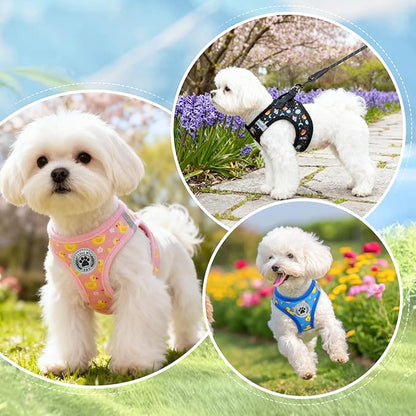 BEAUTYZOO Dog Harness Medium Sized and Leash Set, Step-in Soft Padded Mesh Puppy Vest, Reflective Dog Harness No Pull No Choke, Breathable Easy Walking Vest Harnesses for Girl Boy Pets, Black Planet M