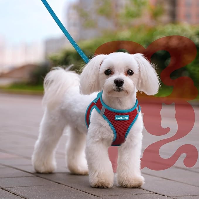 rabbitgoo Dog Harness Small Sized and Leash Set, Step-in Breathable Pet Harness, Soft Walking Reflective Puppy Vest for Small Dogs, Red & Teal, M