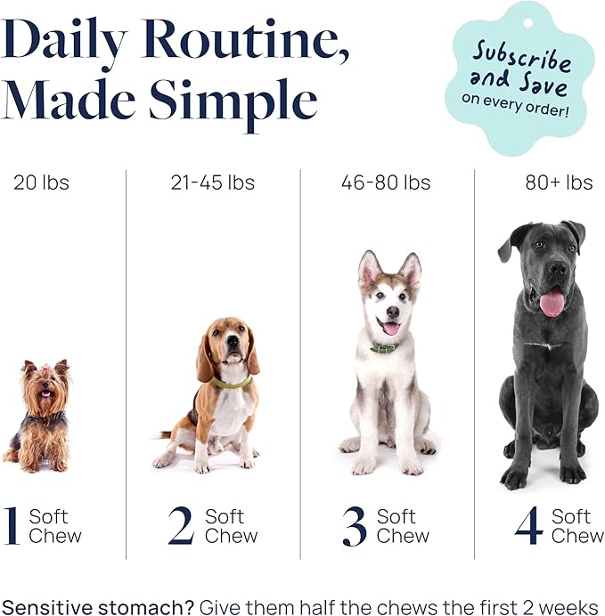 Veterinary Formula Gut Health Supplement for Dogs – Vet-Formulated Probiotic Chews with Digestive Enzymes & Fiber – Smart Vitality Support Digestive Health, Gut Balance & Stool Quality, 120 Soft Chews