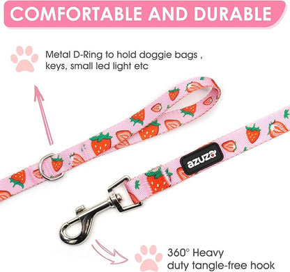 azuza Fruit Dog Collar and Leash Set, Collar Nylon and Matching Leash, Great Option for Large Dogs, Strawberry, L (Neck: 18"-26")
