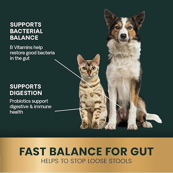 VetriScience Quick Action Diarrhea Aid Paste with Probiotics & B Vitamins, Fast Balance Digestive Support Supplement for Dogs and Cats, Gut Balancer, Unflavored, 35 cc