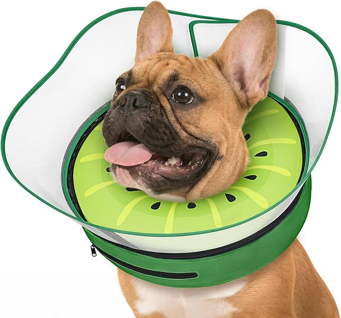Supet Raised Inflatable Dog Cone After Surgery - Adjustable Recovery Donut Collar with Removable Shield to Stop Licking Wounds & Protect Stitches - Soft Dog Cone Alternative for Small Dogs (Kiwi,S)