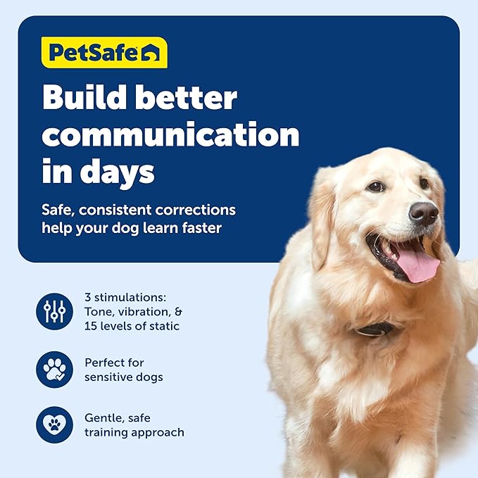 PetSafe 300 Yard Remote Training Collar – Smaller Version for Small or Medium Dogs – Choose from Tone, Vibration, or 15 Levels of Static Stimulation – Medium Range Option for Training Off Leash Dogs