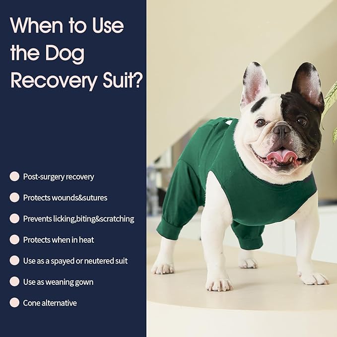 IECOii Dog Surgical Recovery Suit Male Female,Breathable Dog Bodysuit Dog Cone Alternative After Surgery with Pee Hole,Soft Dog Onesie for Spay Neuter Surgery Recovery Prevent Licking,XXXL-Green