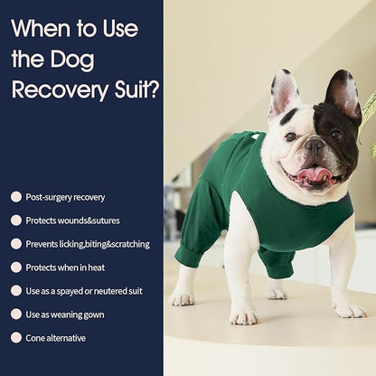 IECOii Dog Surgery Suit, Male/Female Neuter/Spay Recovery Onesie, Cone Alternative, Breathable Cotton & Spandex, XXL-Green, 36 inches
