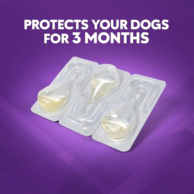 ZoGuard Plus Flea and Tick Prevention for Medium Dogs – Flea & Tick Prevention for Dogs 23-44lbs 12 Month Supply, Pack of 4