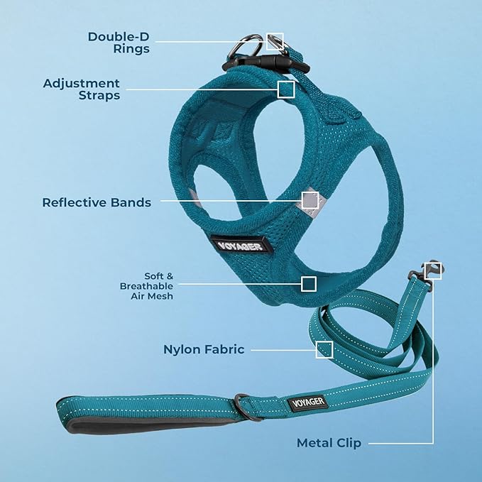 Best Pet Supplies Voyager Step-in Air All Weather Mesh Harness and Reflective Dog 5ft Leash Combo with Neoprene Handle, for Small, Medium and Large Breed Puppies - Set (Turquoise), Small
