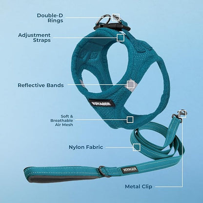 Best Pet Supplies Voyager Step-in Air All Weather Mesh Harness and Reflective Dog 5ft Leash Combo with Neoprene Handle, for Small, Medium and Large Breed Puppies - Set (Turquoise), Small