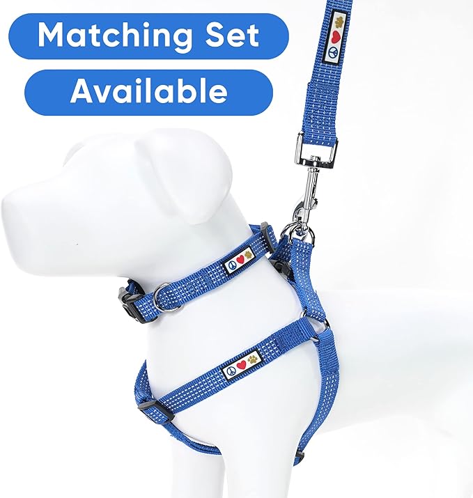 Pawtitas Blue Dog Leash 6 ft XS/S Reflective Durable Lightweight Dog Lead for Small Dogs and Puppies