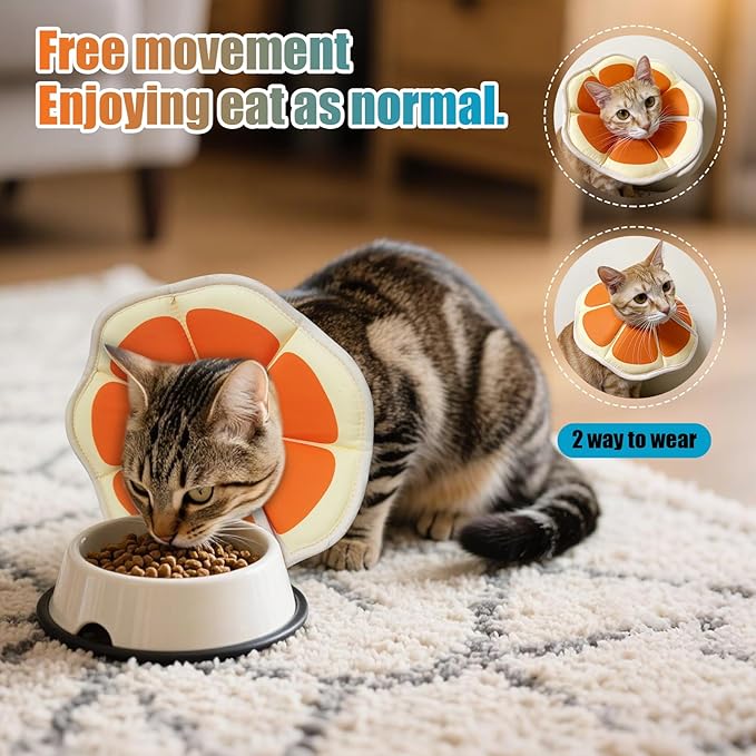 Cat Cone Collar Soft, Comfortable E Collar for Cats After Surgery, Recovery Elizabethan Collar for Cats Kitten to Stop Licking, Orange M