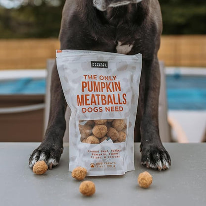 Natural Rapport Dog Treats - The Only Snacks Dogs Need - All Natural Dog Treats, No Additives, for Large & Small Dogs (Pumpkin Meatball, 4 oz.)