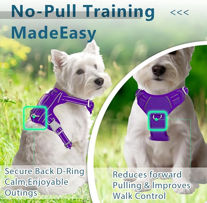 BARKBAY Dog Harness No Pull with ID Tag Pocket - Heavy Duty, Reflective, Easy Control for Large Dogs(Purple,XS)