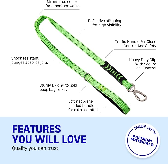 Dog Friendly Co. Bungee Dog Leash | Strain Free & Shock Resistant for Control | Neoprene Padded Handle, Heavy-Duty Carabiner Clip, and D-Ring | Neon Green, Size Regular