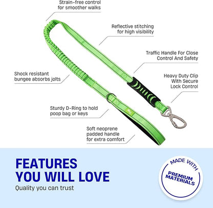 Dog Friendly Co. Bungee Dog Leash | Strain Free & Shock Resistant for Control | Neoprene Padded Handle, Heavy-Duty Carabiner Clip, and D-Ring | Neon Green, Size Regular