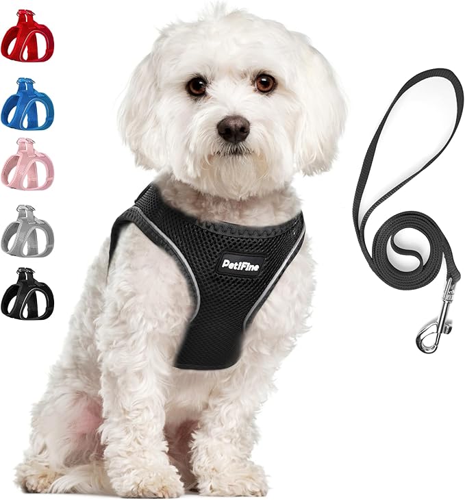 PetiFine Step in Small Dog Harness and Leash Set, Breathable All Weather Air Mesh Reflective Escape Proof, Step-in Vest Harnesses for Puppy(S, Black)