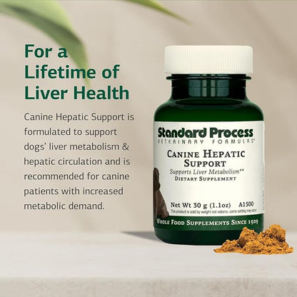 Standard Process Canine Hepatic Support - Dog Supplement to Aid Liver Health - Hepatic Immune Function & Liver Metabolism Support Supplement - Powder Supplement for Dogs - 30 g