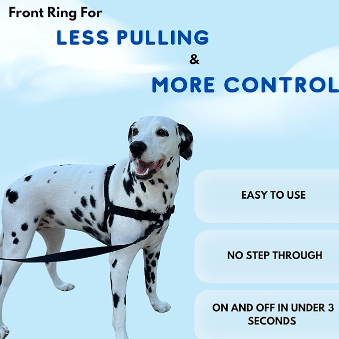 ShawnCo Dream Walk No-Pull Dog Harness- Adjustable, Comfortable, Easy to Use Pet Halter to Help Stop Pulling for Small, Medium and Large Dogs- Art Pattern Designs (Wolf Moon, M)