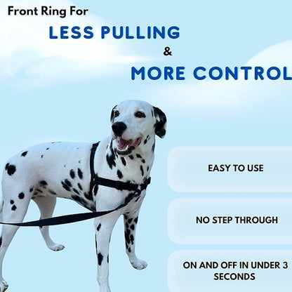 ShawnCo Dream Walk No-Pull Dog Harness- Adjustable, Comfortable, Easy to Use Pet Halter to Help Stop Pulling for Small, Medium and Large Dogs (Oceanic Blue, M)