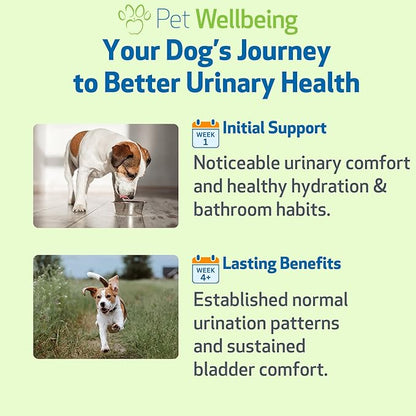 Pet Wellbeing Urinary Gold for Dogs - Vet-Formulated Multi-Herb Urinary Tract Support - Bladder Health & Urinary System Wellness - Natural Dog Supplement - Liquid Formula 2 oz (59ml)